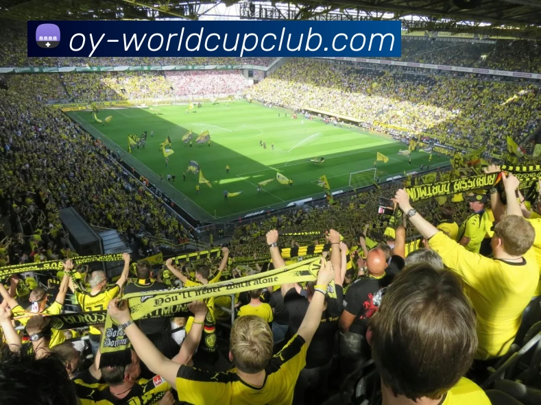 世界杯体育投注平台生态图